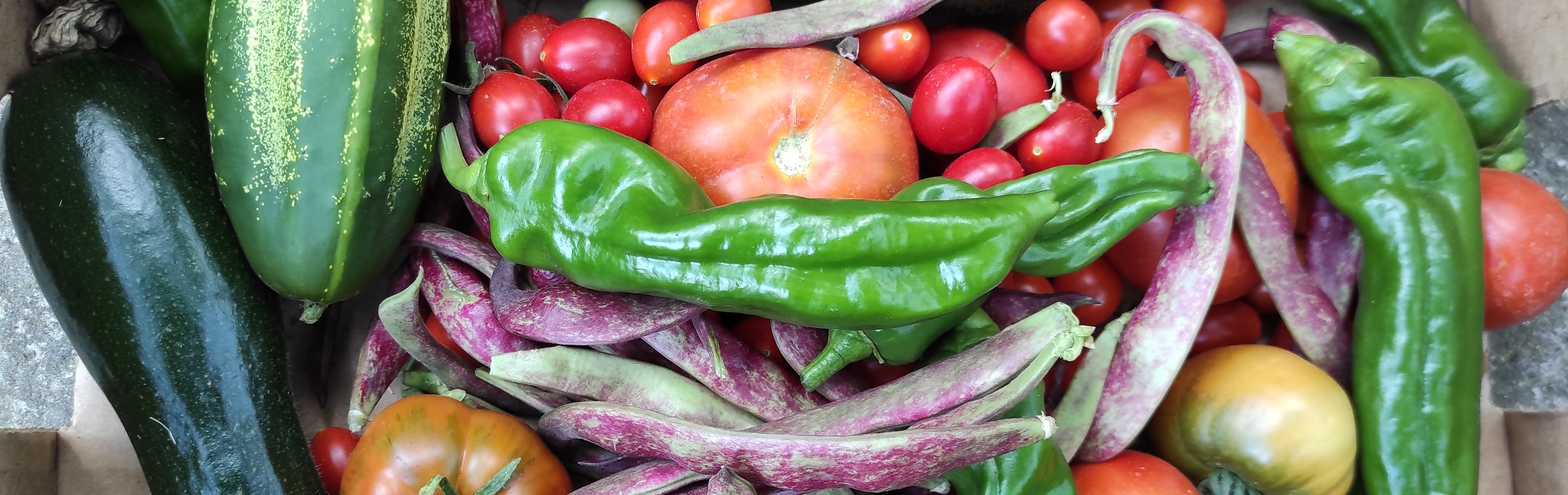 L'hort